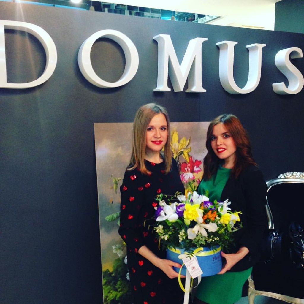 обновление DOMUS 03.jpg